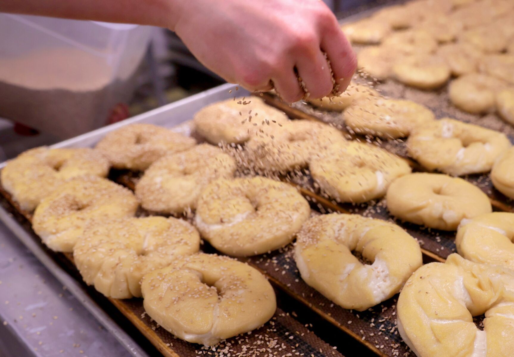 Abound with bagels
